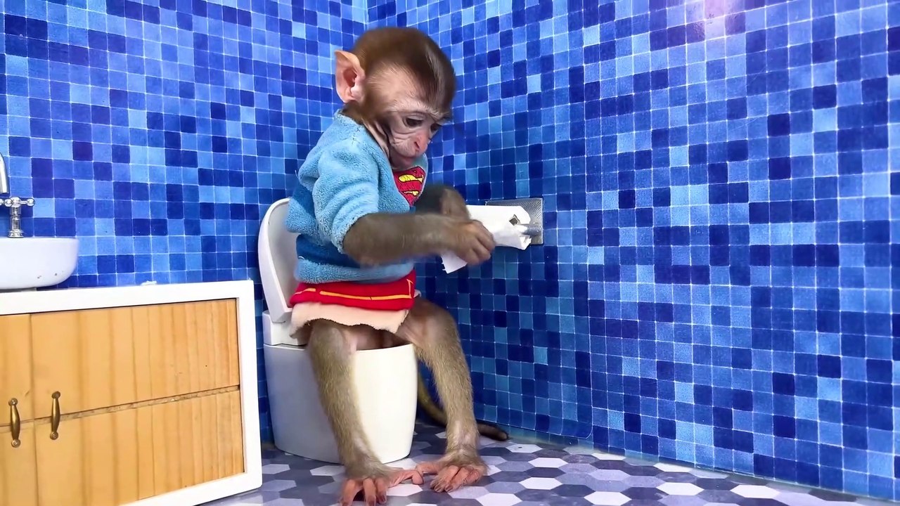 Monkey Baby Bon Bon oes to the toilet and plays with Ducklings in the swimming pool