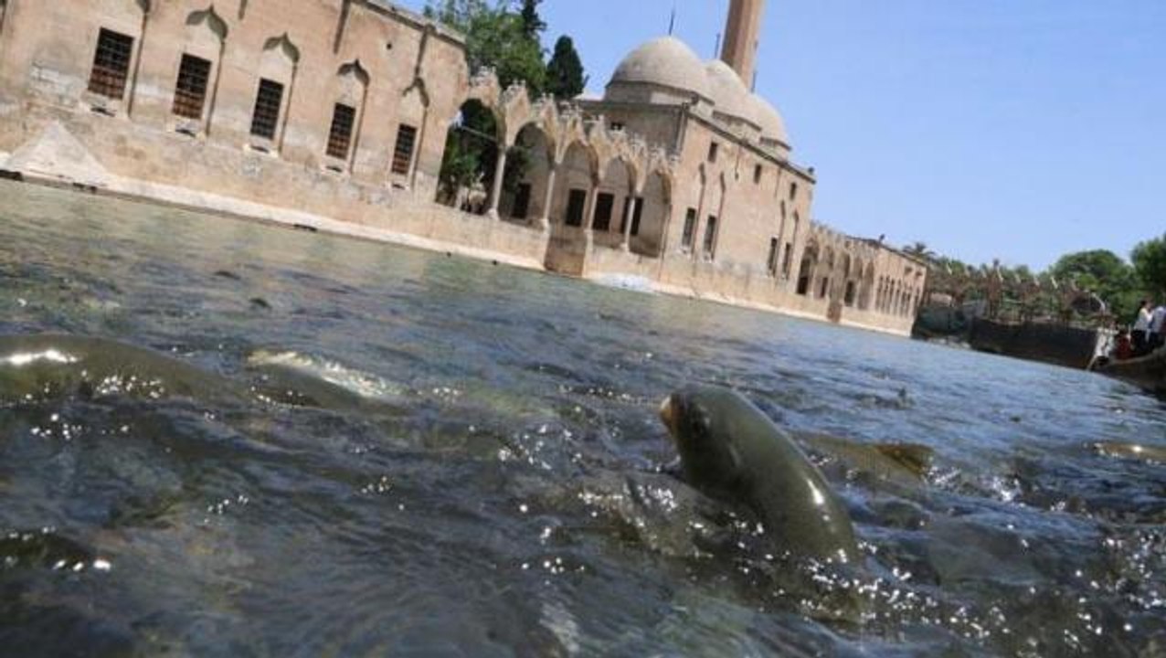 Deprem ve sel felaketinden sonra çamur rengini alan Balıklıgöl artık berrak