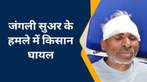 इटावा: किसान पर अचानक खूंखार जंगली जानवर ने किया हमला, देखिए फिर कैसे बची जान