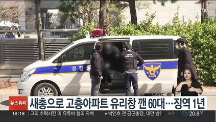 새총으로 고층아파트 유리창 깬 60대…징역 1년