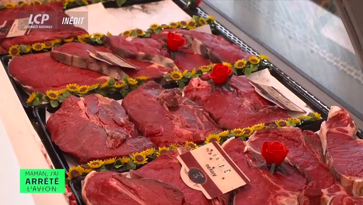 "Maman, j'ai arrêté l'avion" : Le générique de la mensuelle de Daphné Roulier sur LCP