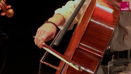 Vitezslav Novak : Trio avec piano n° 2 en ré mineur op. 27 « Quasi una ballata »