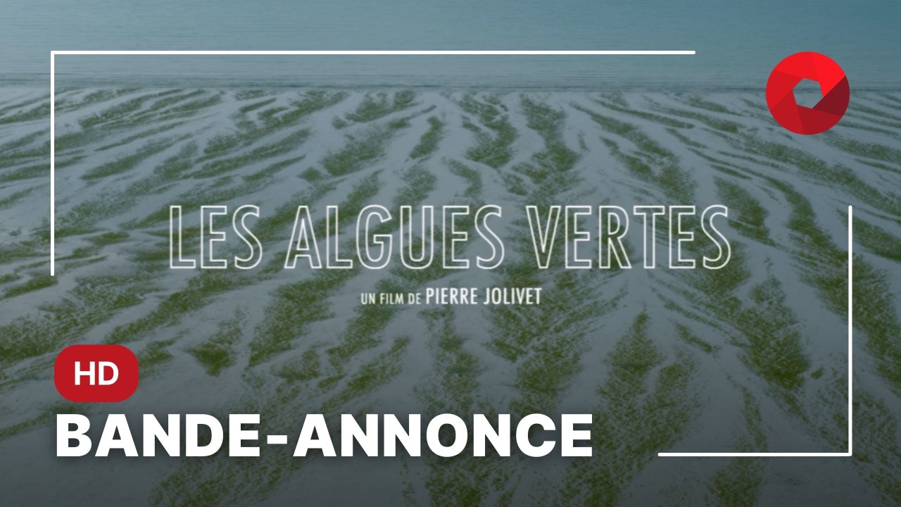 LES ALGUES VERTES de Pierre Jolivet avec Céline Sallette, Nina Meurisse, Julie Ferrier : bande-annonce [HD]
