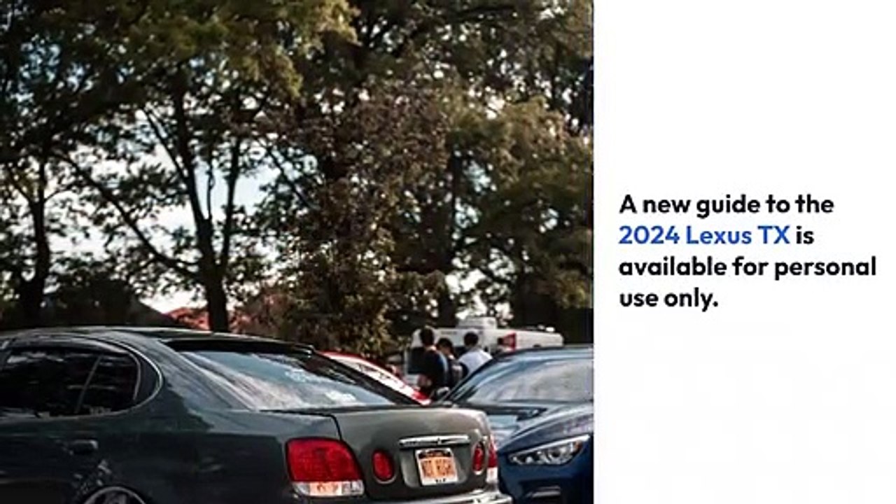 2024 Lexus tx for Dummies