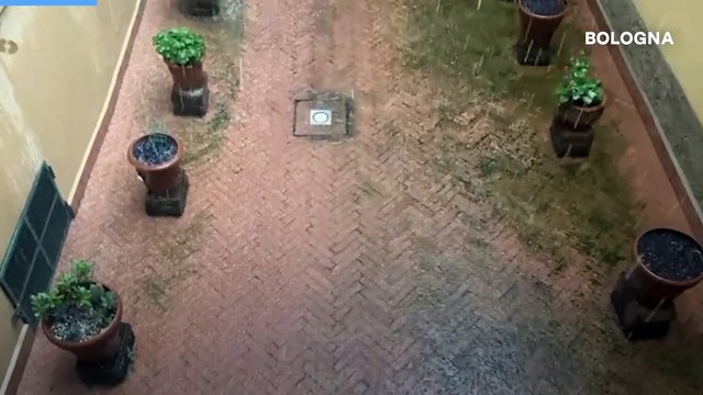 Grandine a Bologna oggi, chicchi bianchi sulla citt?