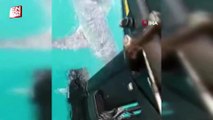Antalya açıklarında köpek balığı tekneyi ısırdı