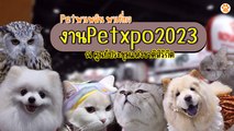 Pet พาเพลิน พาเที่ยว  งาน Pet Expo Thailand 2023