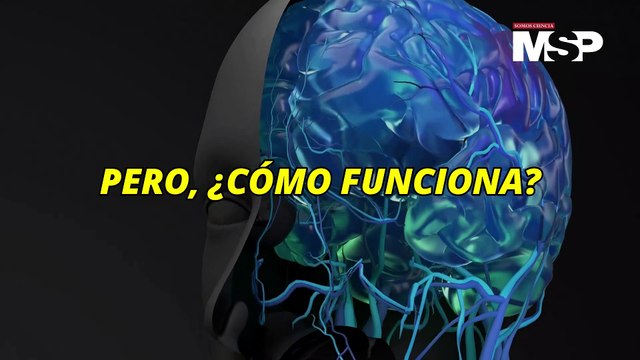 ¿Cómo funciona el cáncer en el cerebro? - #ExclusivoMSP