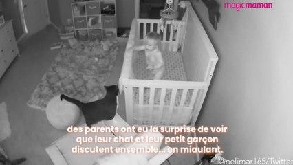 Un bébé et un chat créent leur propre langage et discutent ensemble