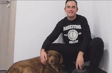 World's oldest dog Bobi has turned 31