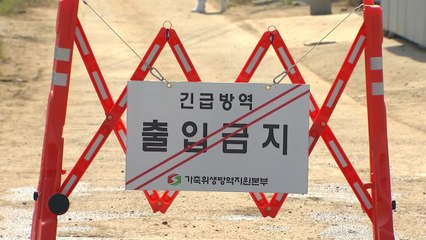 청주 한우 농장 1곳 추가 양성...구제역 5곳으로 늘어 / YTN