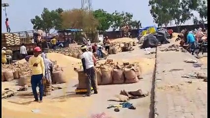 कृषि जिंसों सहित किराना व सर्राफा बाजार भाव