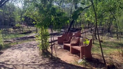 गर्मी में नहीं आ रहे सैलानी, सूनी पड़ी संरक्षित पहाडिय़ा