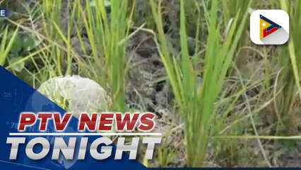 PH gov’t’s economic growth target likely to be met this year