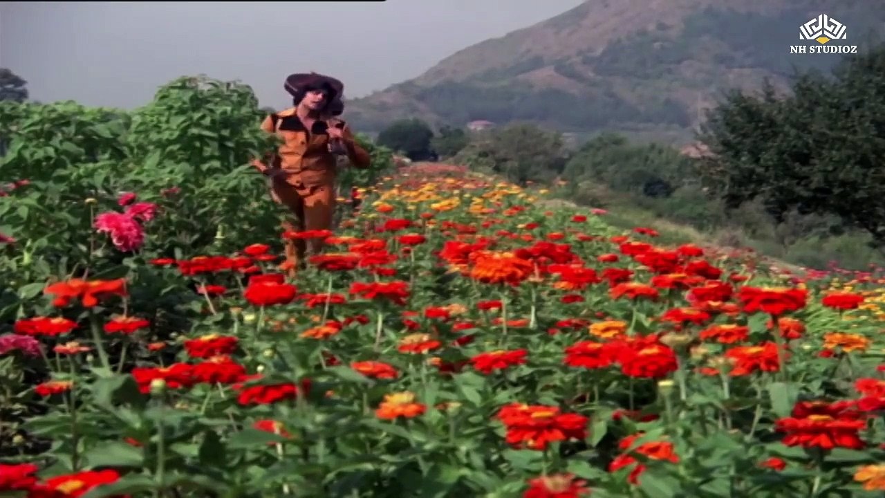 Phoolon Ke Dere Hai/  Zameer 1975 / Amitabh Bachchan , Kishore Kumar