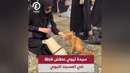 سيدة تروي عطش قطة في المسجد النبوي