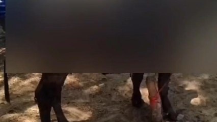 एटा: अज्ञात कारणों से भूसा की बुर्जी में लगी आग, मची अफरा-तफरी