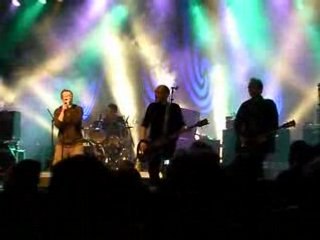 Red Zebra - Can't live in a living room