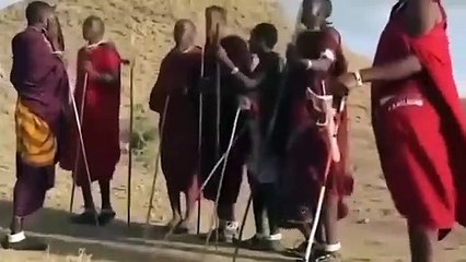Brave Maasai People Take Up Arms Fight Big Lion To Rescue Poor Kudu ~ Cheetah Vs Impala, Crocodile