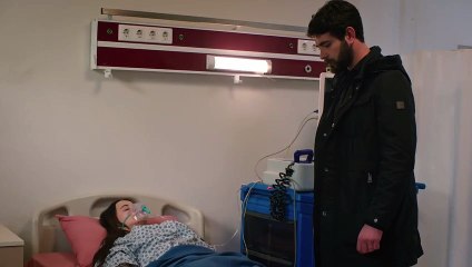 مسلسل زهور الدم الحلقة 100 مترجم