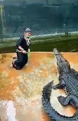 Incroyable mais vrai