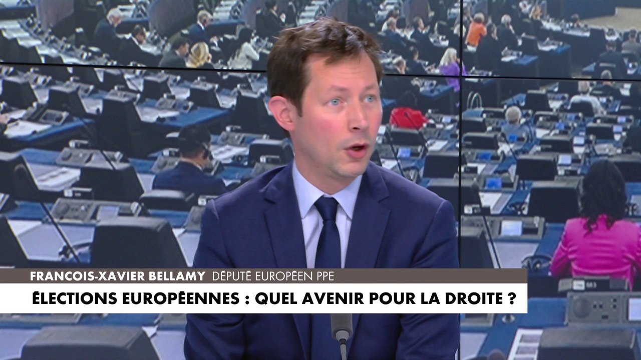François-Xavier Bellamy : «Je pense qu’il y a des partis historiques qui ont pour mission historique de représenter les électeurs qui héritent de cette ligne politique»