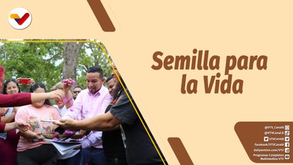 Café en la Mañana | Semilla para la Vida busca que por cada niño o niña nacida sea plantado un árbol