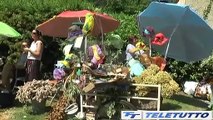 Video News - TORNA FRANCIACORTA IN FIORE