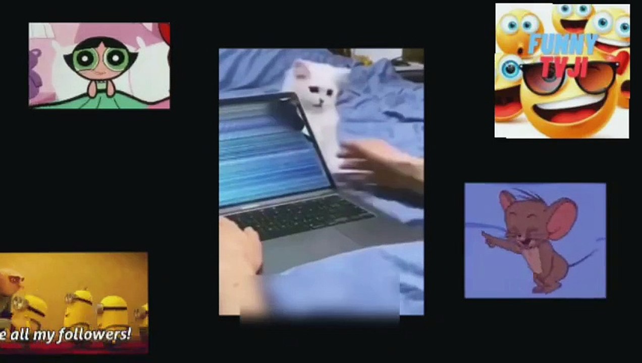 CRAZY AND FUNNY ANIMALS 44