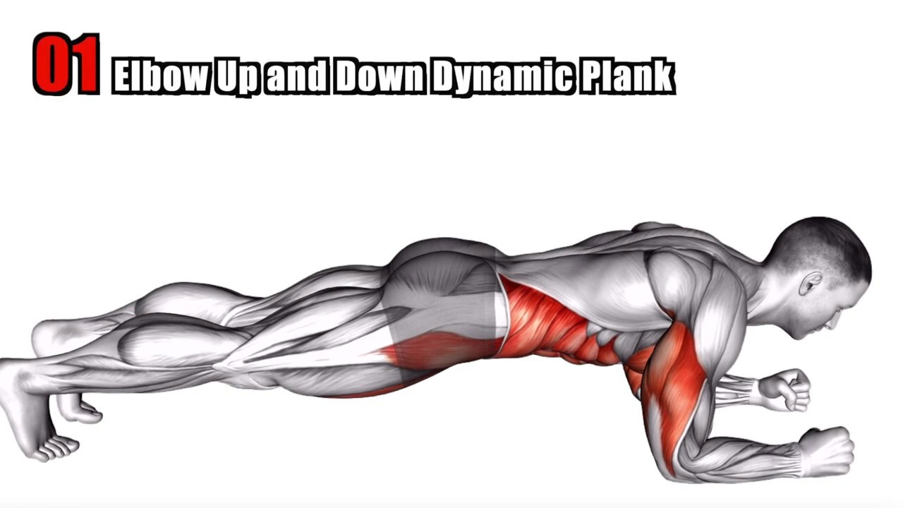 Different Planks to get 10 Pack Abs !