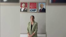 Adapazarı İlçe Seçim Kurulu, Kılıçdaroğlu'nun Adının Bulunduğu Sahte Broşür ve Pankartları Toplatma Kararı Verdi