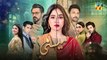 Meesni - Episode 82 - ( Bilal Qureshi, Mamia, Faiza Gilani ) 12th May 2023 - HUM TV