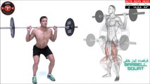 Your guide to strengthening  the muscles  your body - Part1