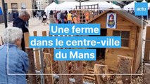 Naturell'Mans : une ferme en centre-ville