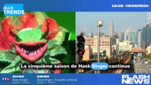 Mask Singer : La chanteuse Lara Fabian, peut-être découverte sous le costume de la Plante Carnivore ?