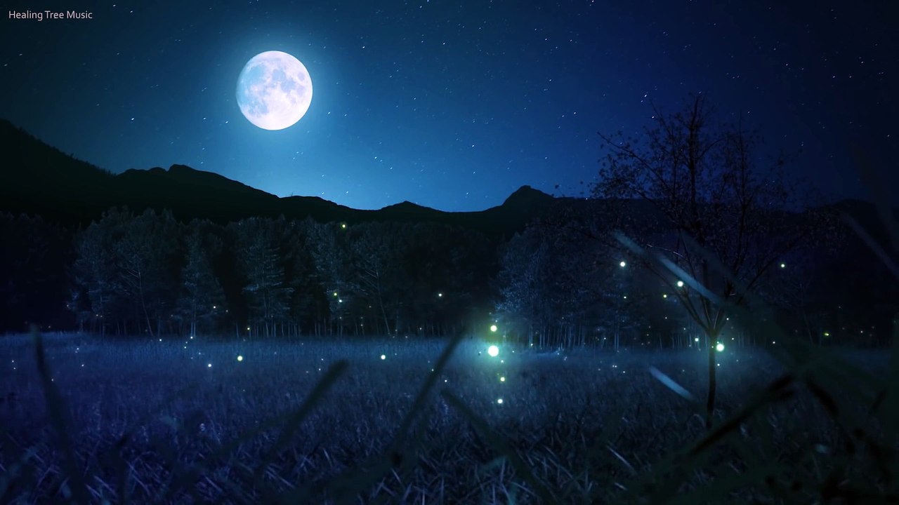 1 Hour Calming Sleep Music  Stress Relief Music, Insomnia, Relaxing Sleep Music (My Dream)