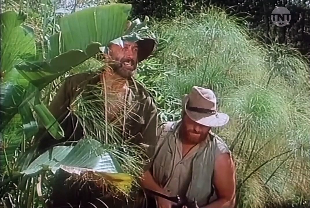 Clarence, der schielende Löwe