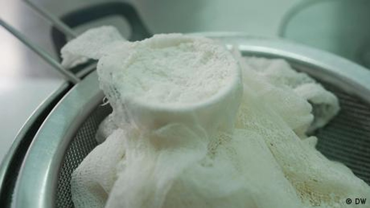 Pule: der angeblich teuerste Käse der Welt