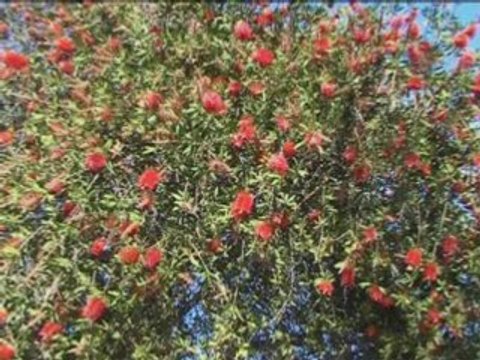 ARGENTINE DIAPORAMA DE BUENOS-AIRES