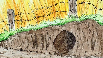 Little Bottle Cap | movie | 2015 | Official Featurette