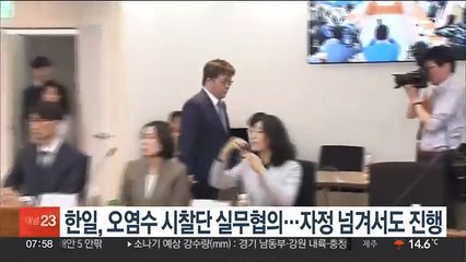 한일, 오염수 시찰단 실무협의…자정 넘겨서도 진행