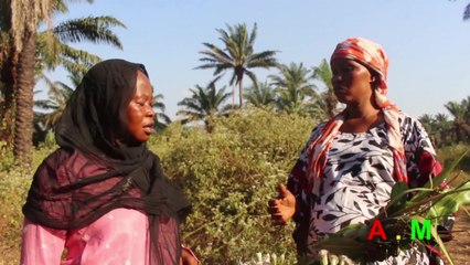 TOGNOLY GBALO EP 14 NOUVEAU FILM GUINEEN VERSION MALINKE