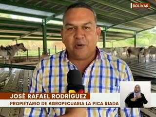 Proyecto de biotecnología garantiza el desarrollo embrionario del ganado bovino en Bolívar
