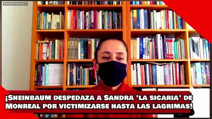 ¡VEAN! ¡Sheinbaum despedaza a Sandra 'la sicaria' de Monreal por victimizarse hasta las lagrimas!