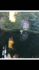 NEW amazing funny video #viral #comedy #viral video