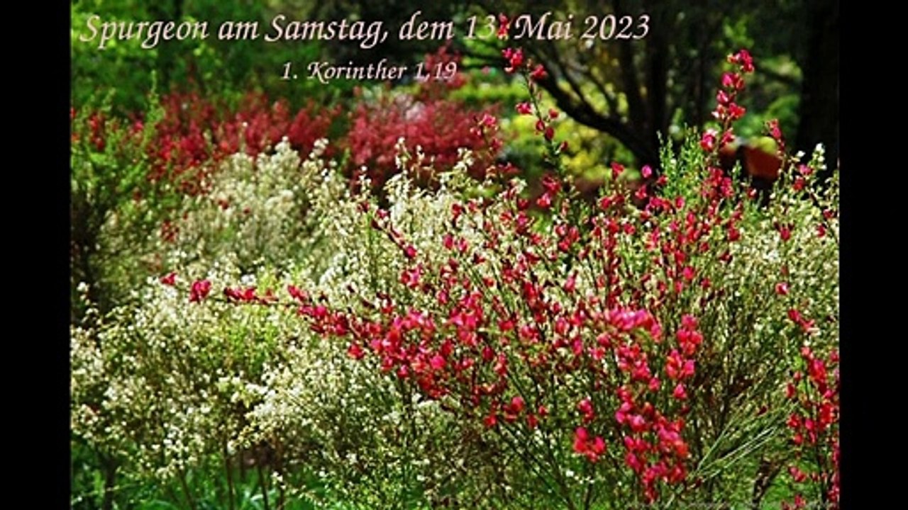 Spurgeon am Samstag, dem 13. Mai 2023