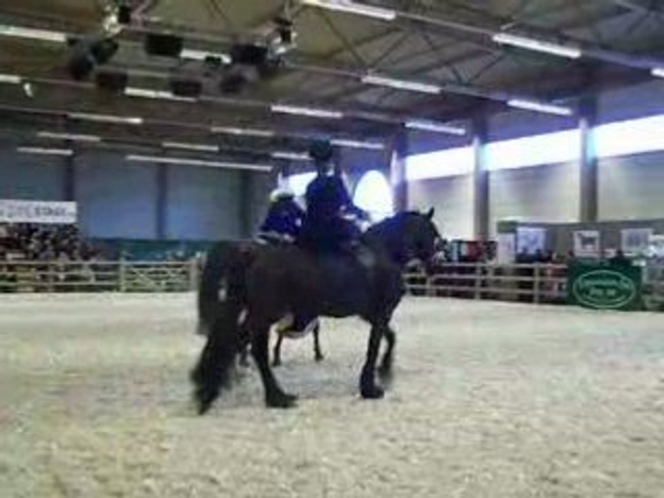 Flanders Horse Expo