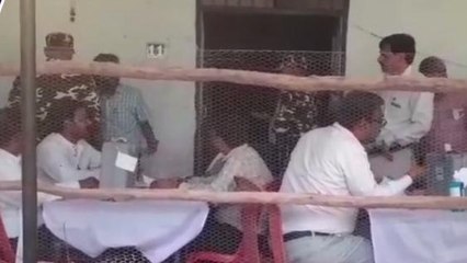 निकाय चुनाव रुझान: शाहजहाँपुर नगर निगम में क्या है रुझान देखिये कौन सी पार्टी आगे