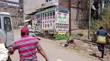 नपा ने शुरु किया पशु पकड़ो अभियान