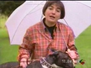 un homme sauvé par un Bull Terrier vs Toro